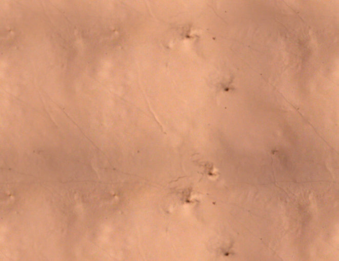 Mud