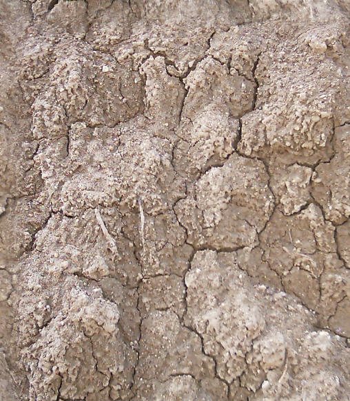Mud01