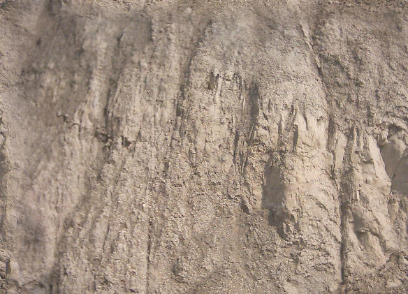 Strata01