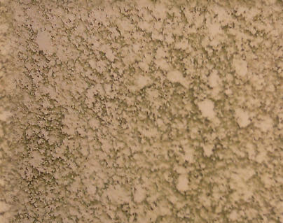 regularStucco