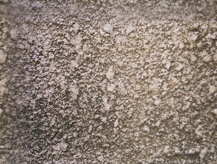 textured_Wall_Coating