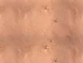 Mud