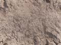 Mud02