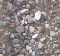 Stones