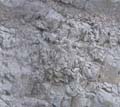 Strata06