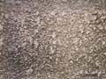 textured_Wall_Coating