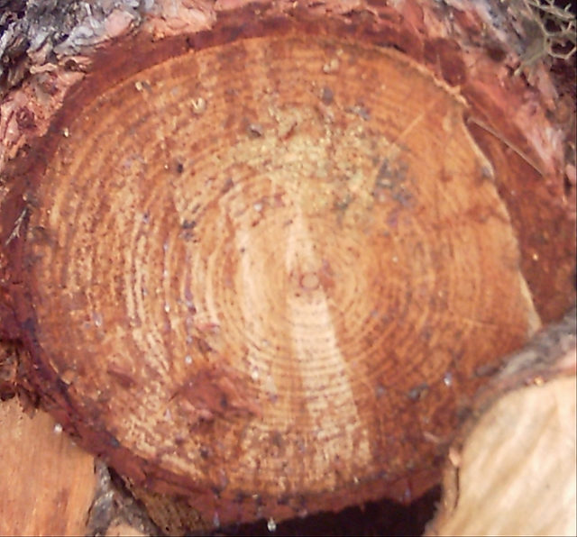 LogEnd_06