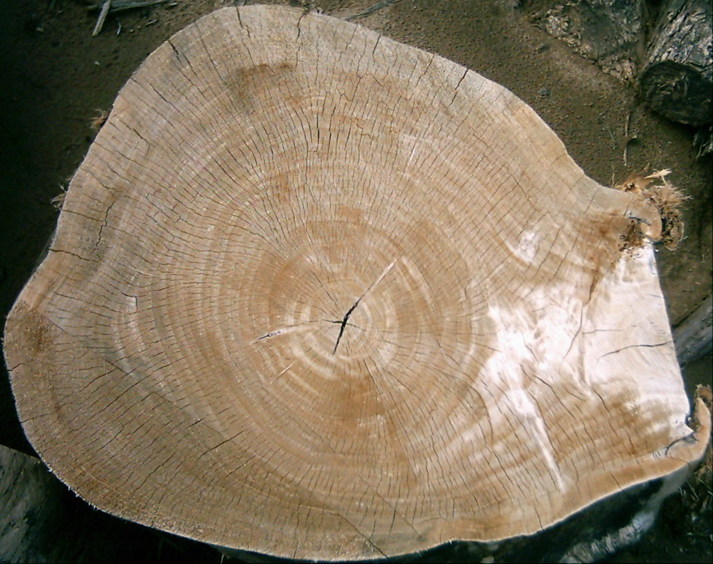 LogEnd_08