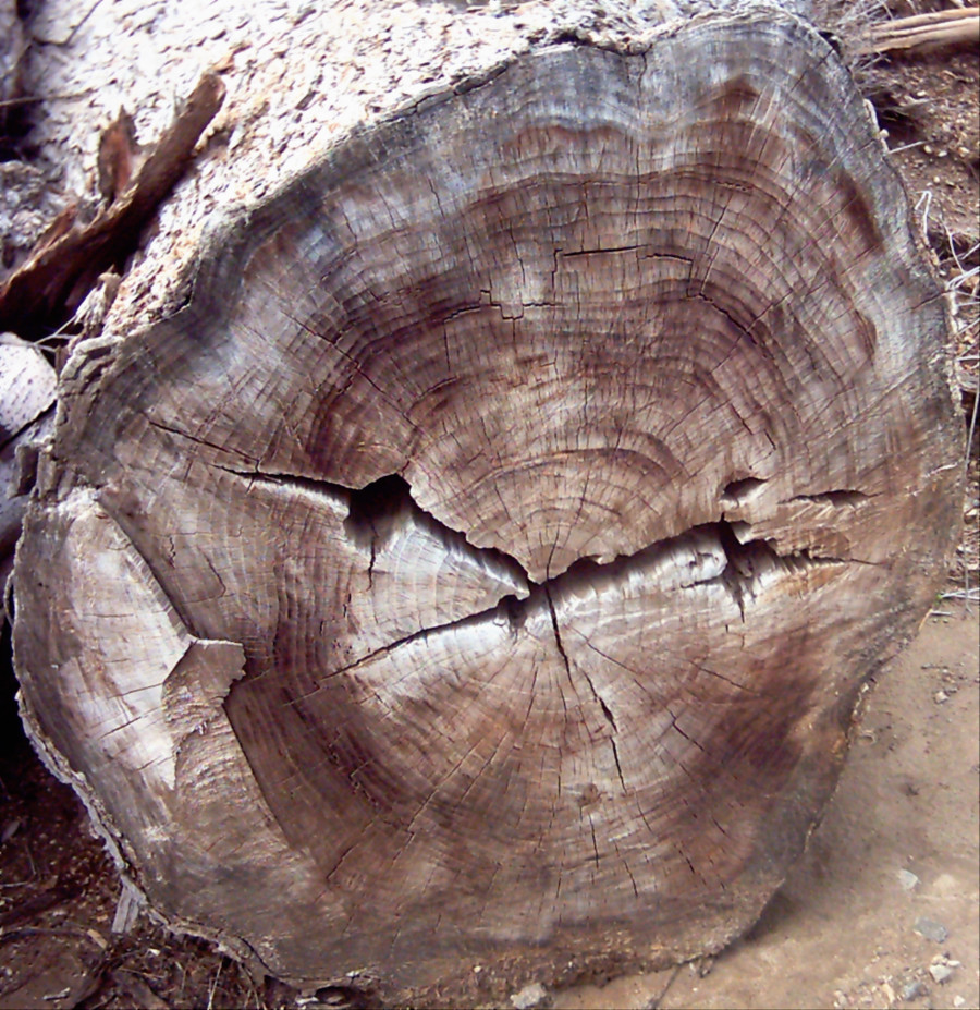 LogEnd_10