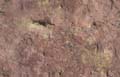 LotsOfRocks39_seamless