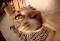 Jeffrey's cat Moses
