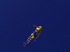 3impact - a very cool game engine! 3impact - a very cool game engine!