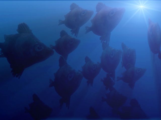 a school of 3D fish, underwater postwork in
                  Project Dogwaffle