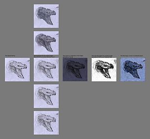 variations of Dragon heads, Dogwaffle and Gertrudis together in perfect harmony