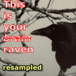 this is
                                                          your brain -
                                                          er - raven on
                                                          drugs - er on
                                                          dogwaffle