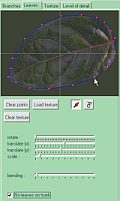 editing the shape of a leaf against a background image